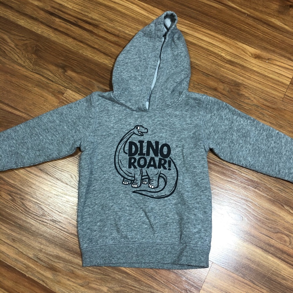 Boys 24M dinosaur gray hoodie sweatshirt
